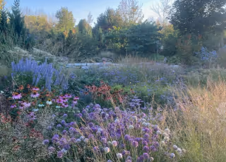 The Secret Garden